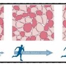 더블제이짐 이미지
