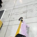 에이시케이 헬스케어 | 2026 케이펫페어 수원 후기 루시아나와 다녀온 수원메쎄 펫박람회 총정리