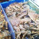 으뜸수산 이미지