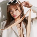 나의 댕댕이 이미지