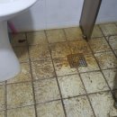 한진1리 이미지