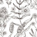 햇살한스푼 이미지