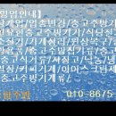 의모든것 이미지