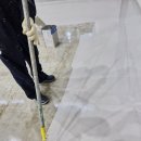 학성약품 이미지