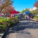 스카이 관광여행사 이미지