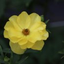 오진농장 이미지