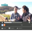 해오름농장 이미지