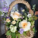 분당-299 이미지