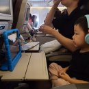 917 | 아이와 스위스 여행 1일차 | 대한항공 KE917 탑승후기 &amp; 취리히→루체른 기차 이동