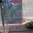 여름꽃농장 이미지