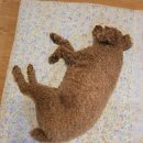 초록발자국펜션 이미지