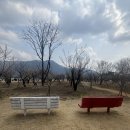 유창수농장 네이버블로그