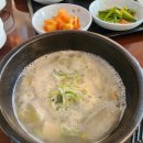 74 | 여주 썬밸리CC 라운딩 후기 | 3월 첫 골프, 법인회원가 조식 포함 10만원 가성비 라운딩
