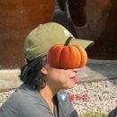 브리에스테 이미지