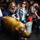 어바웃 플레이스