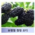보령유기농법인 이미지
