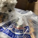 [치킨매니아]순살만공격 내돈내산으로 배달시킨 후기