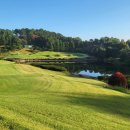 포라이즌 이미지