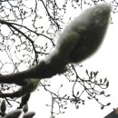 수류산방 이미지