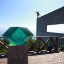 숲 바다 이미지