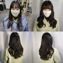 아프로디테헤어 네이버블로그