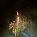 조이 줄넘기 앤 태권짱 | 햅삐 호주 워홀: +~184, 브리즈번 에카 축제 즐기고 다시 메꾸는 일상(에카 축제, 초이 감자탕, 써니...