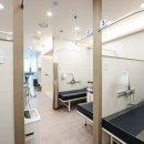 서현탑정형외과의원 이미지