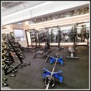인스타GYM | 은평구헬스장 15GYM, PT상담 받아보고 느낀 솔직한 후기!
