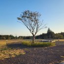 기린 캠프랜드 이미지