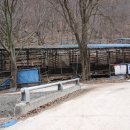 철준사슴목장 이미지