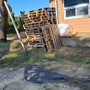 장운길 | 짐 싸다 기절할 뻔 근데 인생 포장이사 만남!