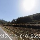 화순군 이양면 쌍봉리 임야28314제곱,매2억5천7백,전남토지매매,화순토지매매 이미지