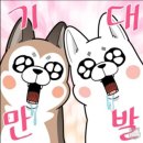 지엘 핏 이미지