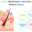 펫링크 이미지