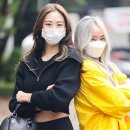 다솜연예기획 이미지