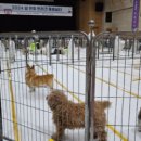 경북야생동물구조관리센터 이미지