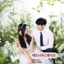 예비쀼의 명동 사진관 셀프웨딩촬영 레드나우 스튜디오 후기