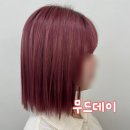 무드데이 미아역점 | 무드데이 미아역점 | 미아역 미용실 추천 핑크바이올렛 염색 후기
