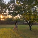 애터미 경주실크로드센터 | 힐튼 경주 유레카 수영장 조식까지 가격 할인 예약 후기!