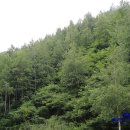 인제자연학교 캠핑장 이미지