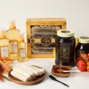 벌과 사람 이미지