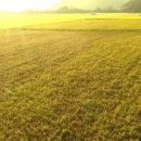 김해시농협공동사업법인 이미지