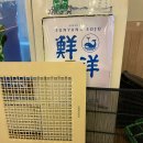 한마당 연탄불고기 이미지