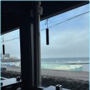 바다를 품은 돼지 이미지