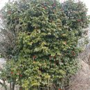 정유재란순절묘역 이미지