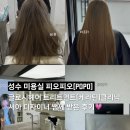 성수 미용실 피오피오(POPO) 글로시헤어 트리트먼트(케라틴)클리닉 서아 디자이너 쌤께 받은 후기