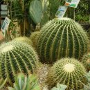 안산식물원 이미지