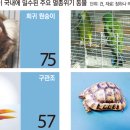 옥석농장 이미지