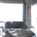 카나무 | 오산손세차 나무 열매로 더러워진 K5 DL3 세차 후기 &#39;저스트카워시&#39;