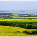 바다가있는풍경 이미지